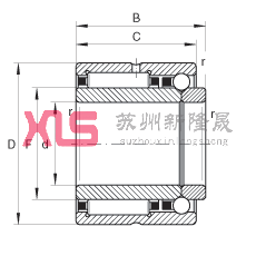 L/ǽ|S NKIB5905, pSнM