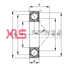ǽ|S 7202-B-2RS-TVP,  DIN 628-1 ˜ʵҪߴ磬|  = 40ɂȴܷ