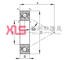 ǽ|S 7602020-2RS-TVP, 򣬽| a = 60㣬ƹɂ(c)ܷ